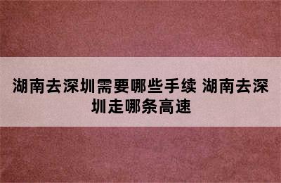 湖南去深圳需要哪些手续 湖南去深圳走哪条高速